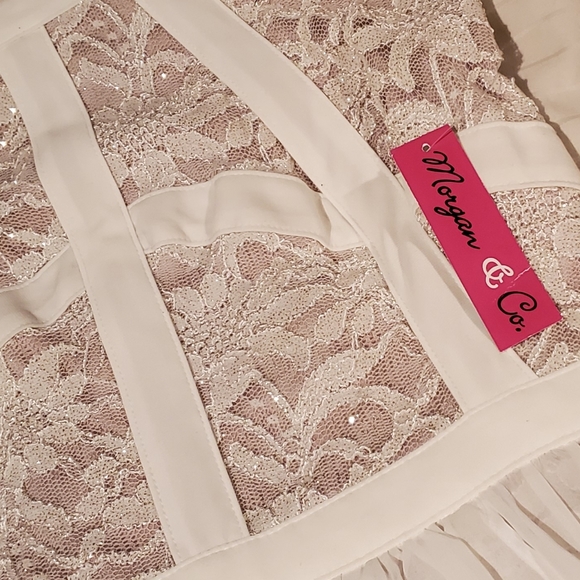 NWT MORGAN & CO Nude/Ivory Sparkle Lace Gown - Picture 8 of 8